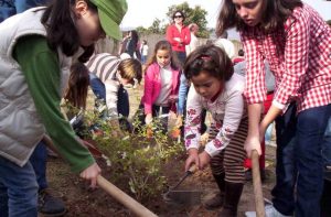 091121 niñas plantando