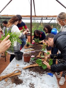 Visitas Guiadas en el Jardín Botánico