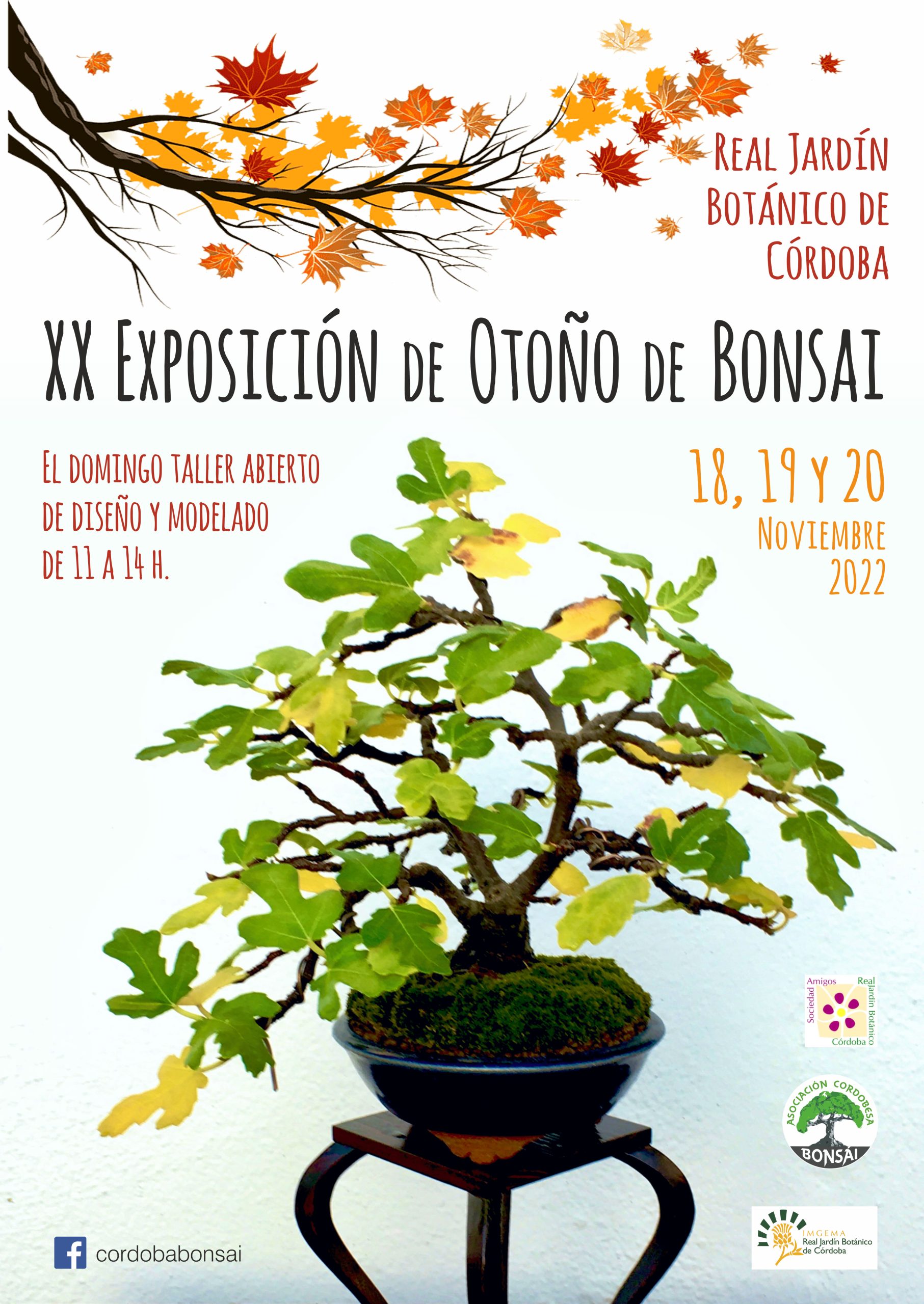 XX EXPOSICIÓN de BONSÁI DE OTOÑO Jardín Botánico de Córdoba