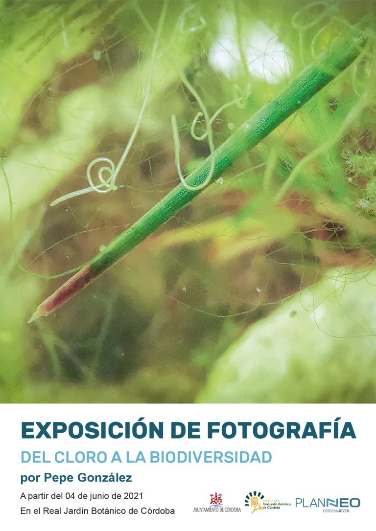 Exposición Del Cloro a la Biodiversidad - Por Pepe González