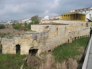 Molino de Martos (1)