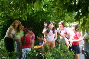 Visitas y Horarios - Jardín Botánico de Córdoba (4)