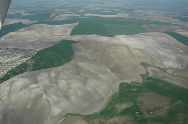 1 - Diversificación del Paisaje Agrario