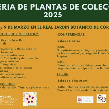 12 pag feria plantas (1)