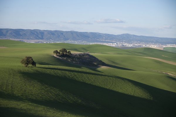 2 - Diversificación del Paisaje Agrario