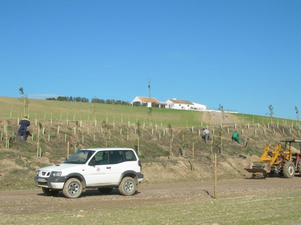 3 - Diversificación del Paisaje Agrario