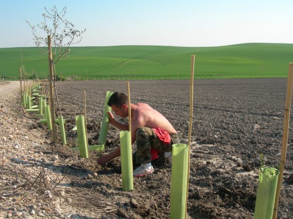 7 - Diversificación del Paisaje Agrario