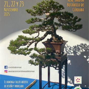 ACB CARTEL EXPO XXIII OTOÑO_page-0001