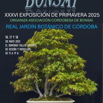 Cartel XXXVI Exposicion primavera 2025_page-0001