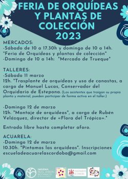 Cartel mercados A3 (2)