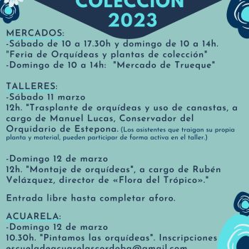 Cartel mercados A3 (2)