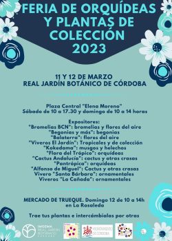 Cartel mercados A3 (3)