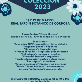 Cartel mercados A3 (3)