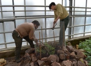 La labor de jardinería (3)