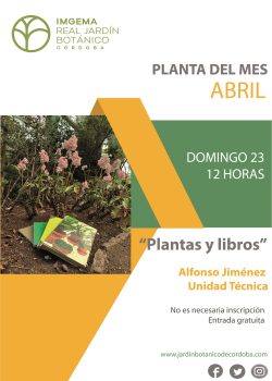 La planta del mes de abril 2023