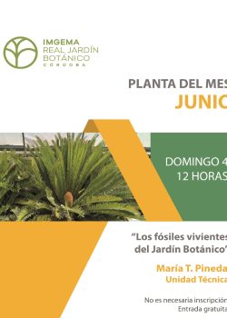 La planta del mes de junio 2023