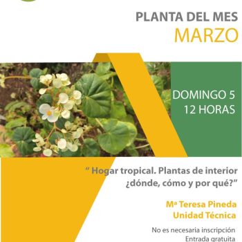 La planta del mes de marzo 2023