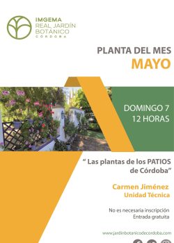 La planta del mes de mayo 2023