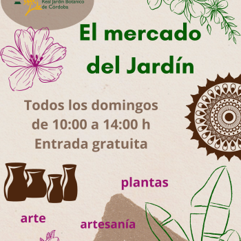 Talleres para niños de 12 a 13 horas