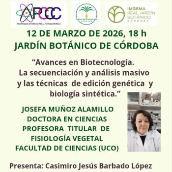 WhatsApp Image 2026-03-02 at 11.11.55