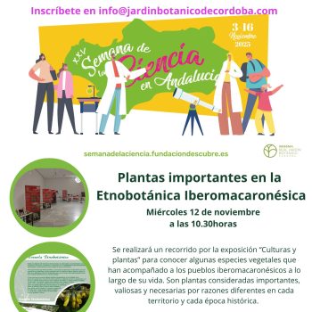 ¿Qué es la Etnobotánica Las plantas y sus usos